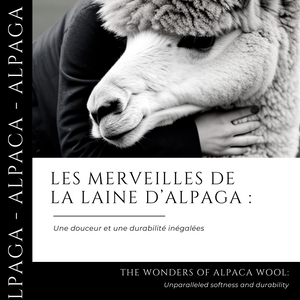 Les merveilles de la laine d’alpaga : Une douceur et une durabilité inégalées