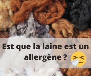 Is wool an allergen?